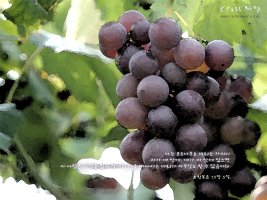 세례자 요한