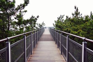 서천 가볼 만한 곳, 장항 스카이워크