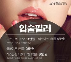 대전이마필러가격4