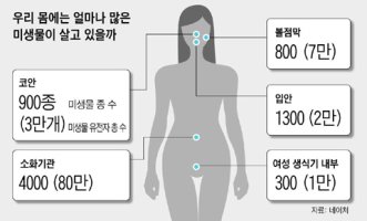 뚱보·홀쭉이 몸속 미생물 달라… 장내 세균 바꾸면 체중도 바뀐다