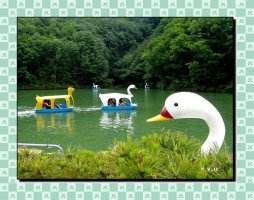 홍천대명비발디4