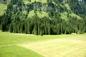 안산보육교사교육원4