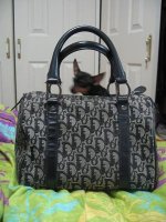 프리미엄모터백2