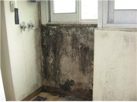 결로방지페인트2