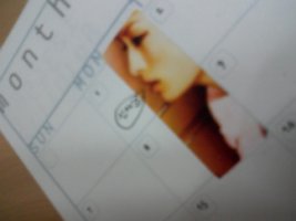 올드독다이어리2