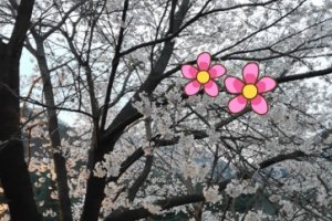 개명에필요한서류4