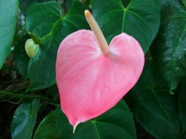 검정고시동영상강의3