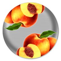 6학년2학기과학요점정리2