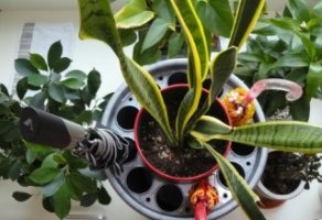 업소용우산꽂이1