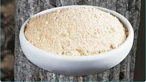 표고버섯균사체4