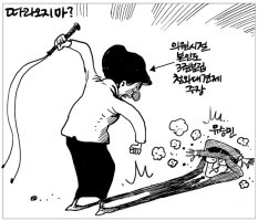 대구서 박근혜 비판 만평이? 작가는 괜찮을까