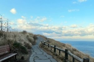 대구제주항공료6