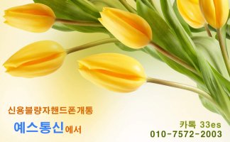 신용불량자핸드폰5