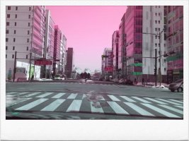 자동차방문연수4