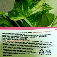 사우스비치라이트닝젤4