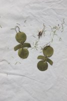 빈티지악세서리1