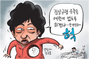 세월호 특별법 관련 신문사별 만평 비교
