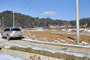 강원도토지매매2