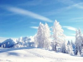 갑상선치료방법1