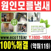 망원동산부인과4