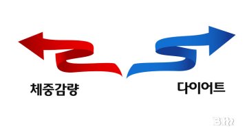 체지방다이어트5