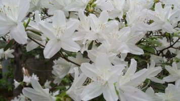 무료사주보는곳3