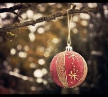 사회복지사3급자격증4