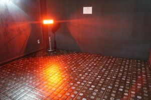 엑스자다리교정6