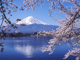 日本 富士山의 봄 풍경