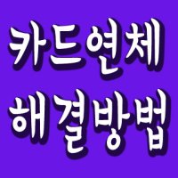카드연체한달2