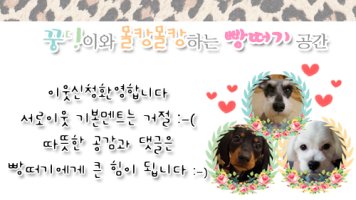 남자에센스가격2