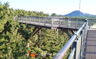 충청도 여행 ★ 장항 스카이워크(서천 스카이워크) 하늘길 걷기