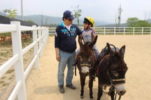 홍천에 가볼만한 곳2