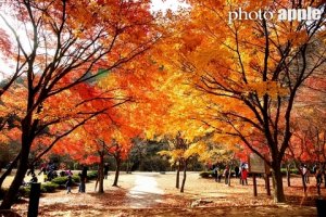 유료다운로드사이트추천2