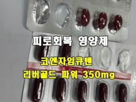 피로회복영양제5