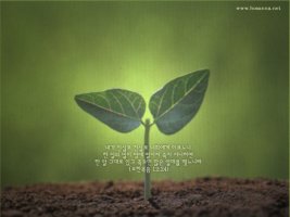 한알의 밀알이 되자..