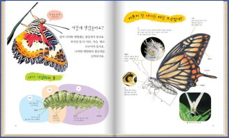 꿈틀꿈틀자연관찰가격3