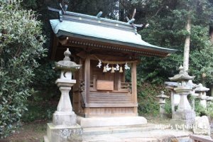 대마도자유여행5