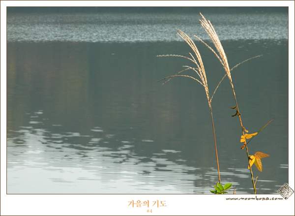 가을의 기도